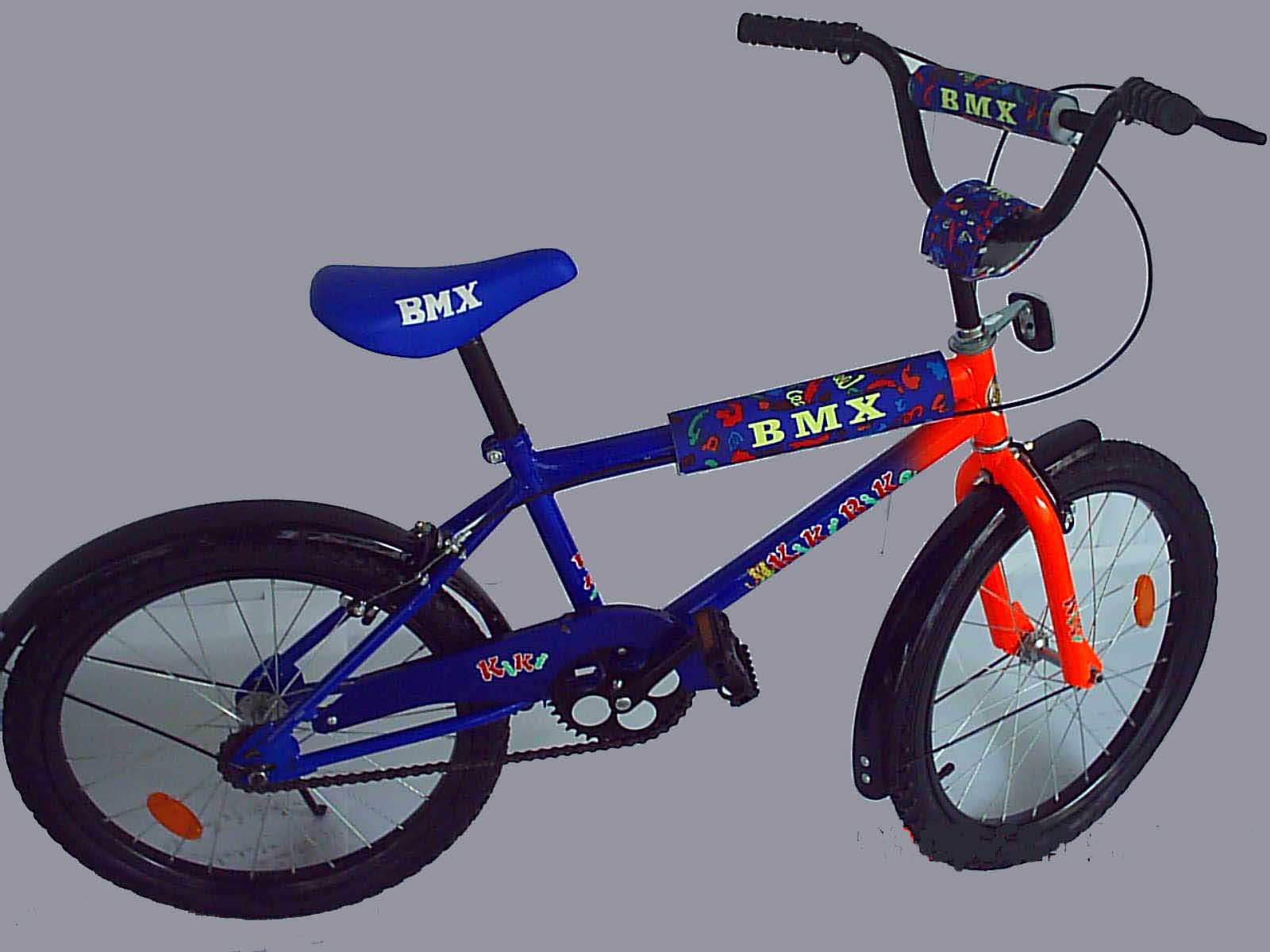 20 BMX.JPG (106200 bytes)